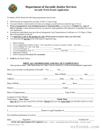 Fill Out a Valid Nevada Work Permit Application Template